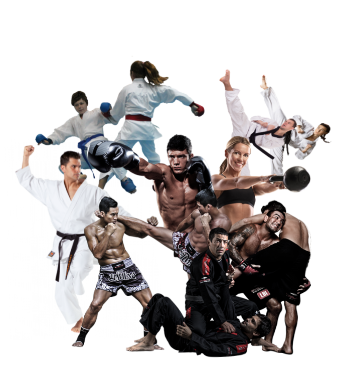 Martial arts software