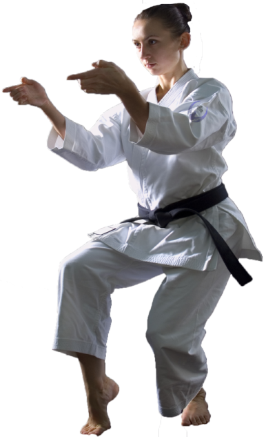 Karate membership software